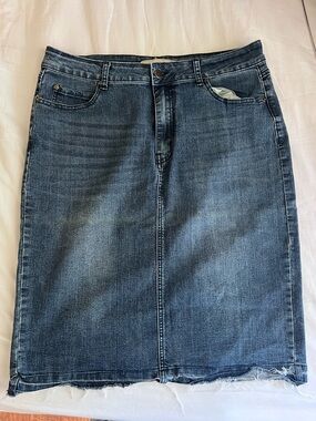 The Main Street Exchange Denim Skirt